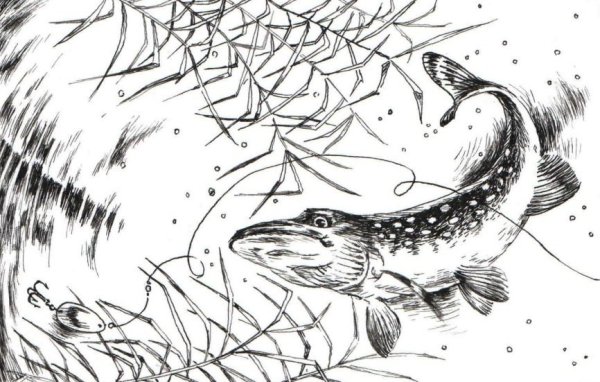 Рыба мультяшная