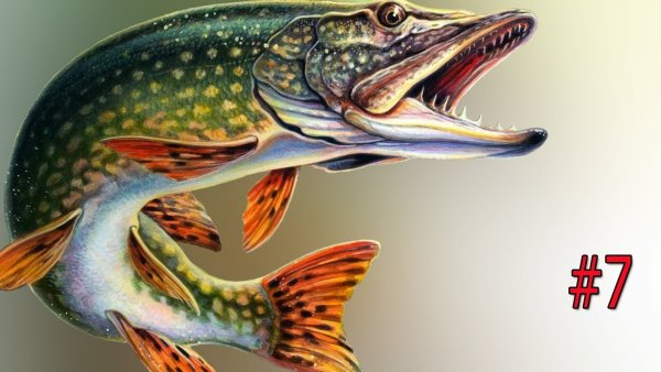 Щука карандаш