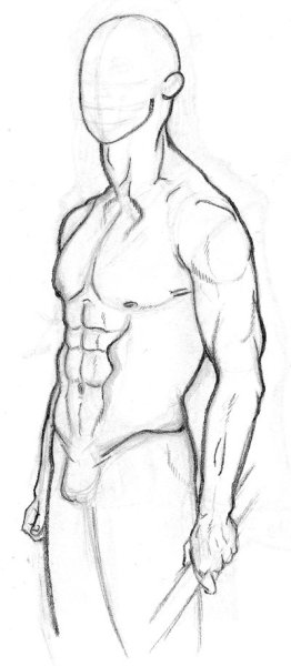 Мужское тело для рисования