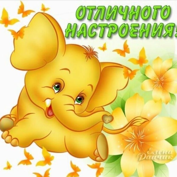 Стикеры приветствия