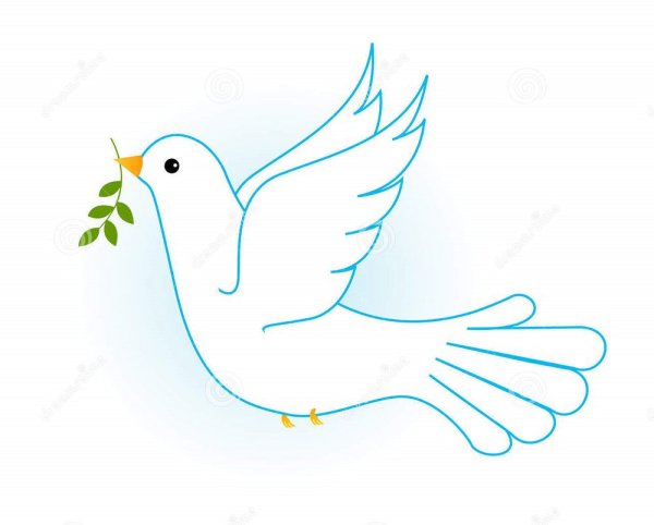 Голубь с веточкой рисунок