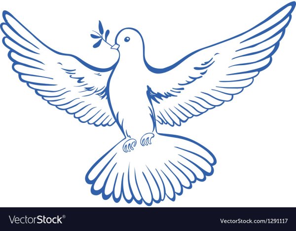 Голуби печать