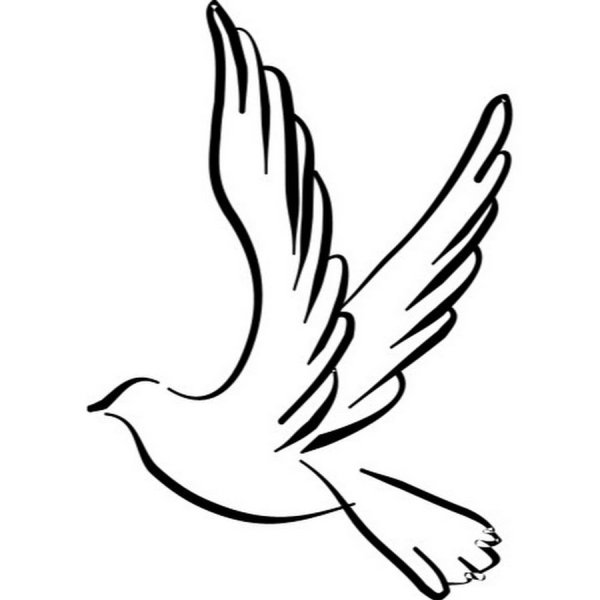 Голубь мира эскиз