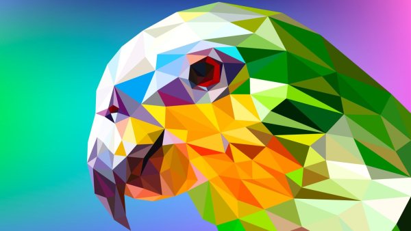 Геометрическая абстракция