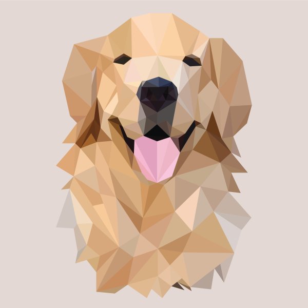 Геометрическая собака