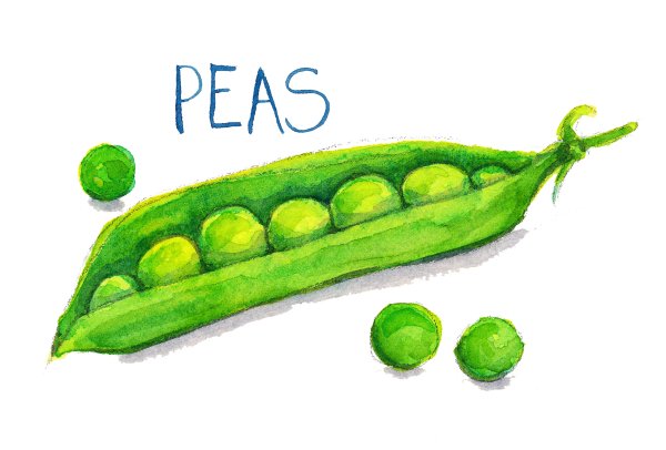 Нарисовать фасоль