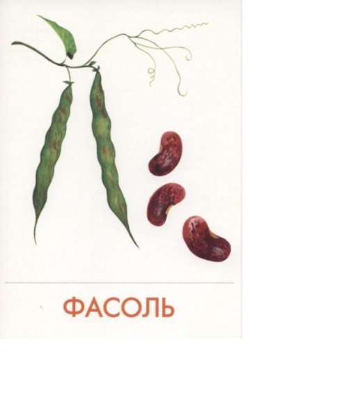 Фасоль раскраска