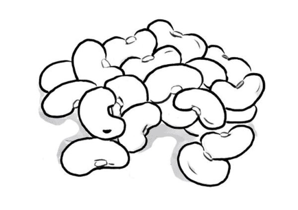 Стручковая фасоль на белом фоне