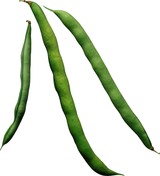 Фасоль картинка для детей