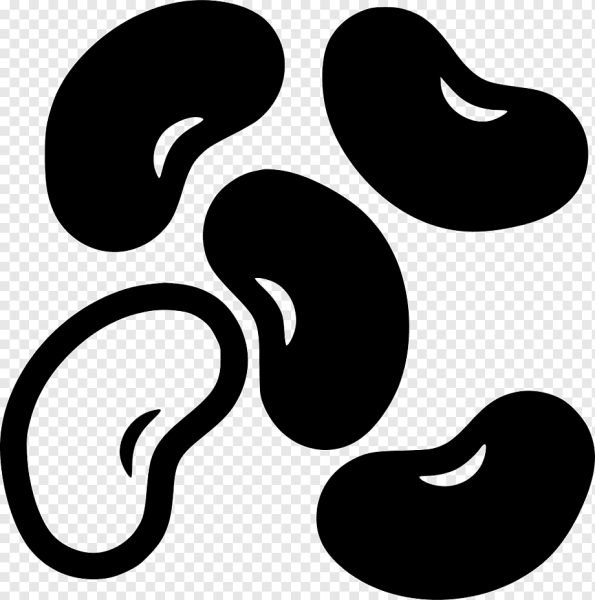 Фасолина на прозрачном фоне