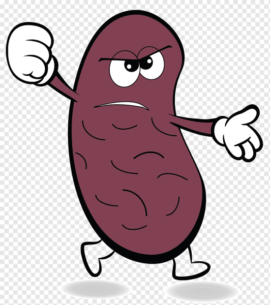 Карточка фасоль для детей