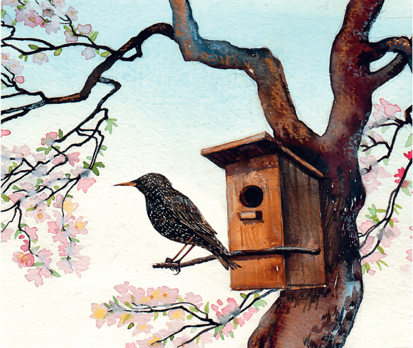 Солоухин о скворцах