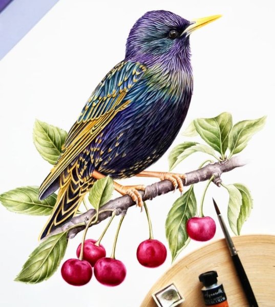 Скворец в живописи