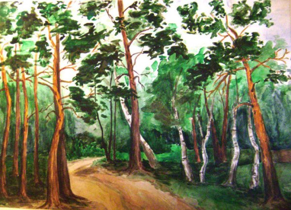 Широколиственный лес рисунок