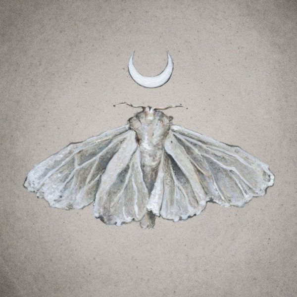 Милая нарисованная моль