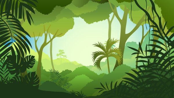 Джунгли фон