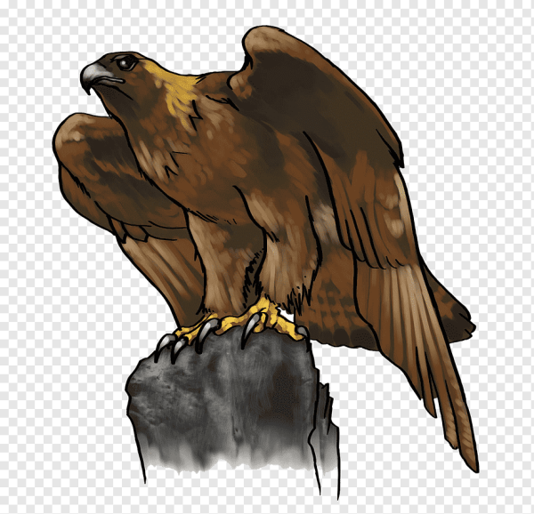 Орлы мультяшные