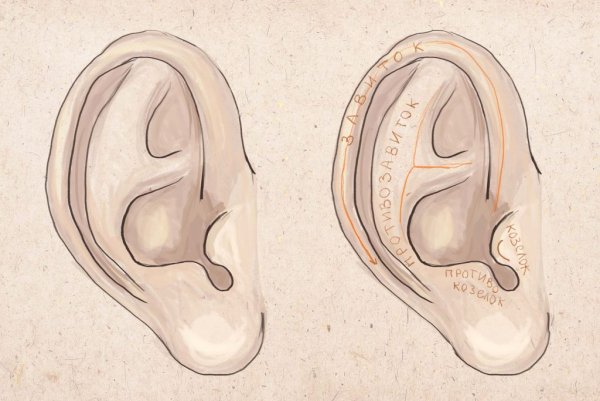 Ухо раскраска для детей
