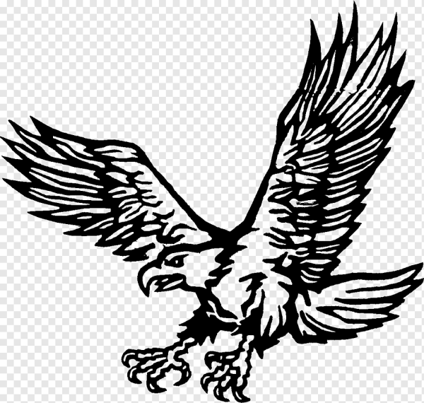 Рисунок орла с распахнутыми крыльями
