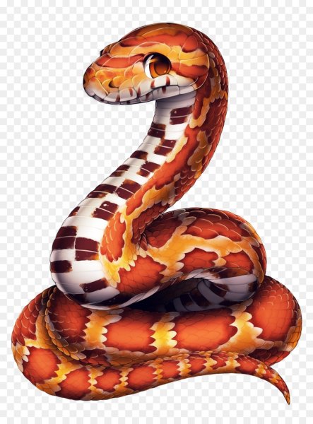 Удав из мультфильма 38 попугаев