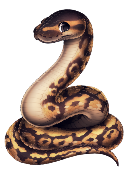 Питон рисунок