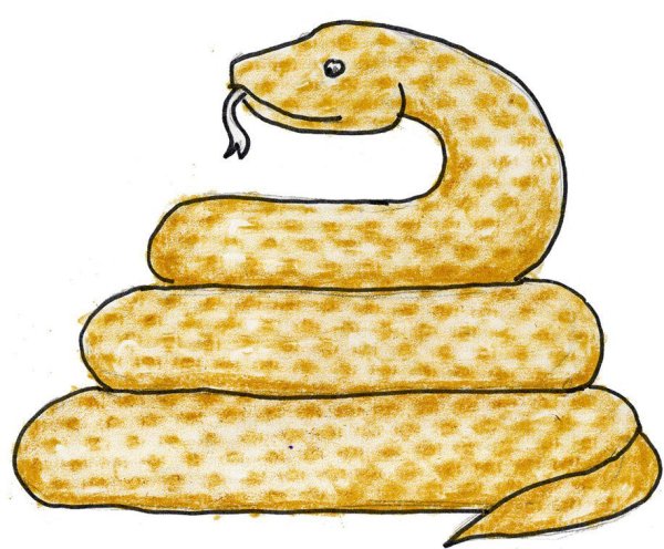 Королевский питон референс