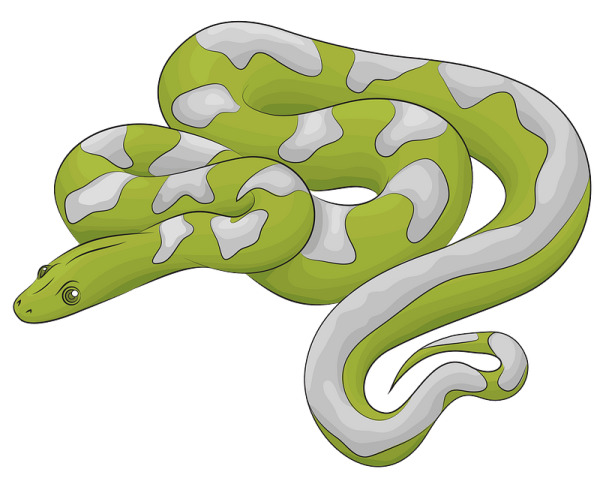 Раскраска змея щитомордник