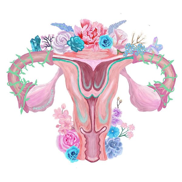 Матка цветы