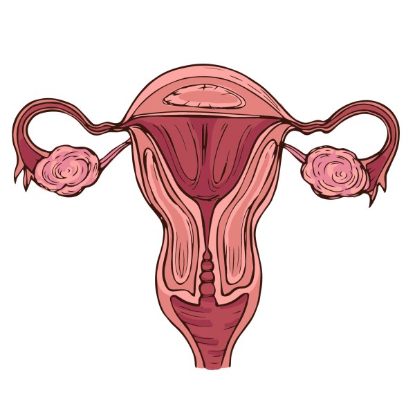 Поликистоз яичников доктор Мясников