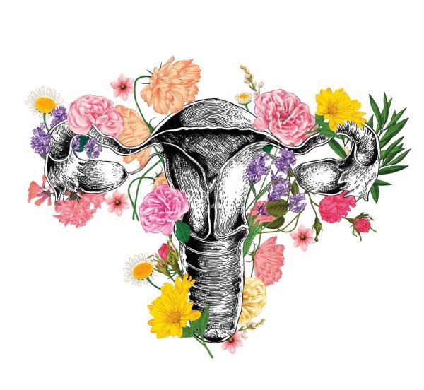 Улыбающая матка