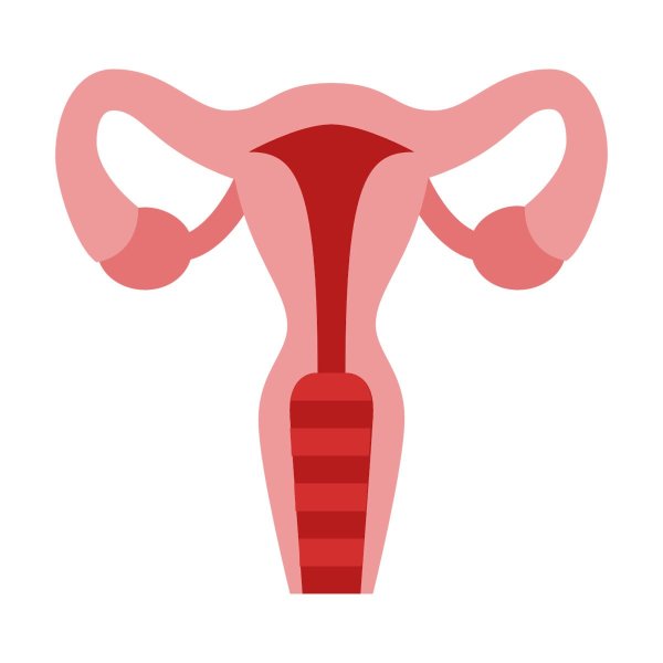 Йони Цветкова