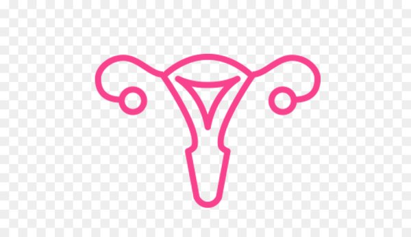 Матка нарисовать