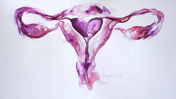 Матка в цветах