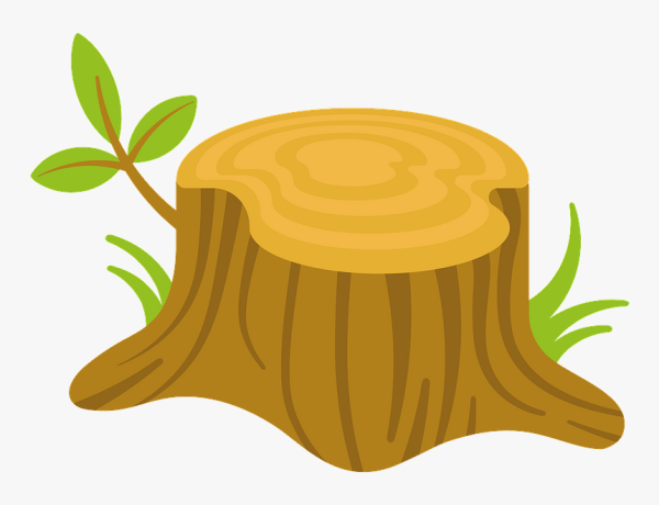 Пень рисунок