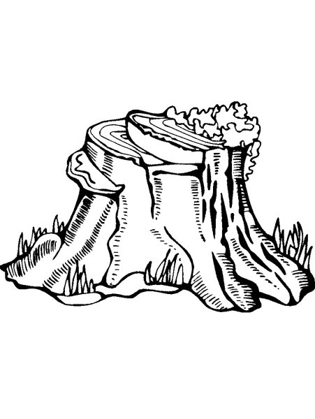 Пень раскраска для детей