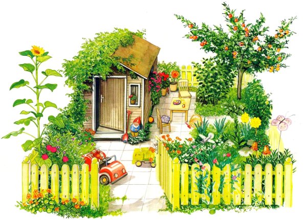 Сад огород иллюстрации