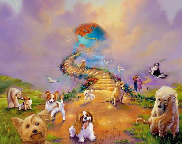 Фантастические пейзажи