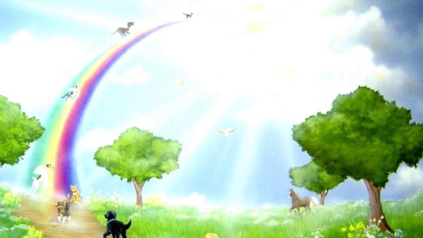 Ютака Кагайя