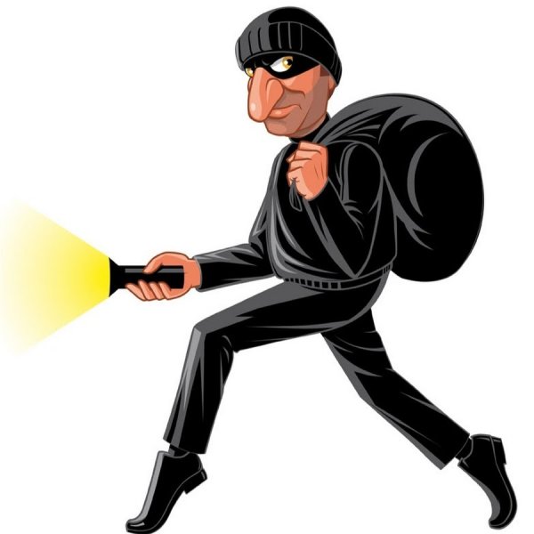 Мультяшные воры