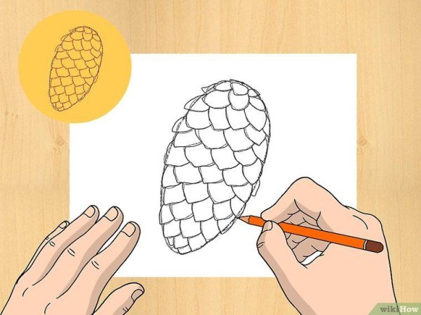 Шишки карандашом