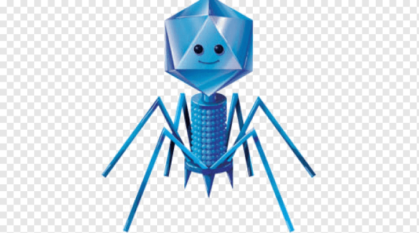 Бактериофаг мультяшный