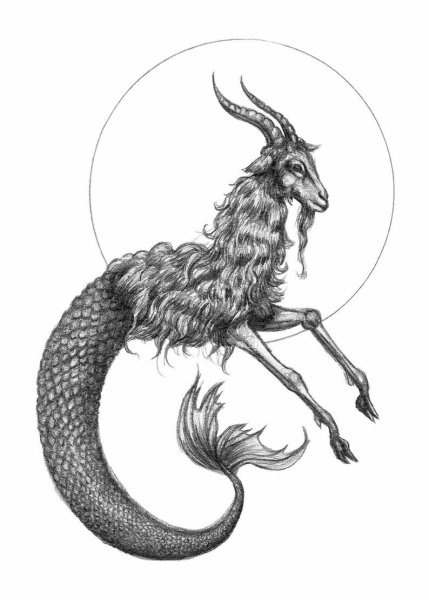 Тату Козерог эскиз