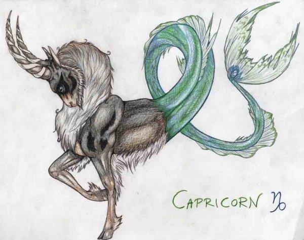 Козерог арт животное