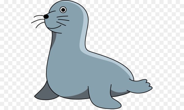 Тюлень для детей