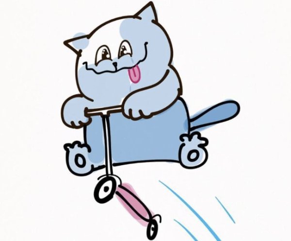Кот на самокате