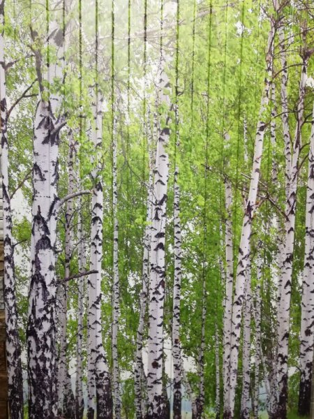 Профнастил с фотопечатью