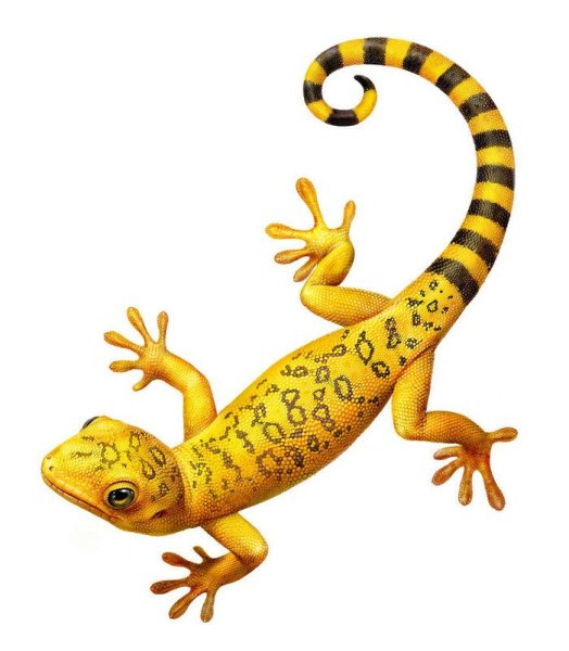 Мультяшные ящерицы