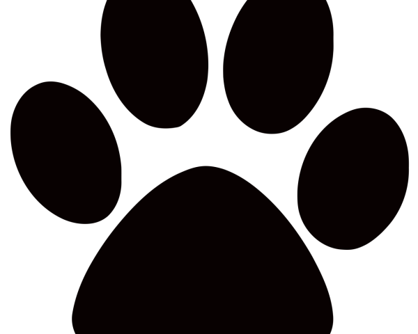 Отпечаток лапы собаки