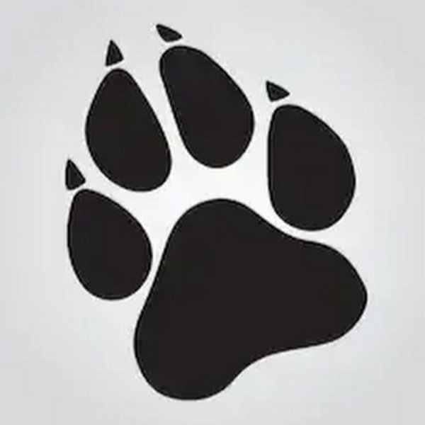 Лапка собаки