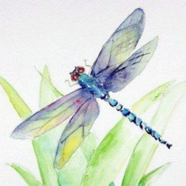 Стрекоза акварель ручка